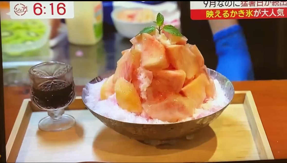 メディア掲載1